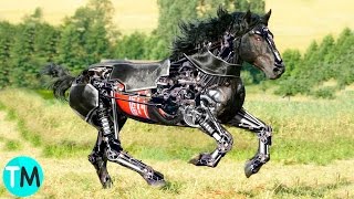 10 Animales Robots QUE NO CREERÁS QUE EXISTEN [upl. by Enaitsirk764]