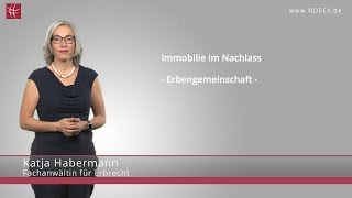 Immobilie im Nachlass  Erbengemeinschaft  NDEEX [upl. by Olenolin]