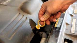 How to check your car’s engine oil level  AUTODOC tips [upl. by Lidda]