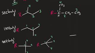 Alkane Nomenclature 3  Sec Iso Tert Neo Naming [upl. by Kati]