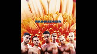 RAMMSTEIN  Laichzeit [upl. by Thatch]