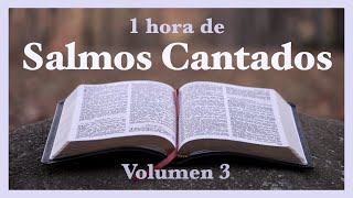 SALMOS CANTADOS Vol 3  media hora de salmos  Música Católica  Athenas amp Tobías Buteler [upl. by Irovi655]