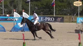 quotSemper Fiquot  8 j Wallach v Stakkato x Grannus  CSI Vilamoura [upl. by Mariquilla]