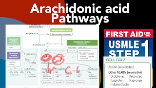 Arachidonic acid pathways Corticoids NASAIDs Celecoxib Montelukast ampZileuton mechanism of action [upl. by Gnik]