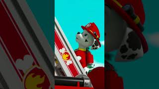 Escape the nest PawPatrol Shorts [upl. by Graeme]