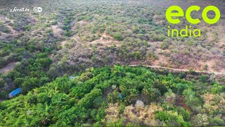 Eco India How a forest cooperative is reversing desertification in Tamil Nadu [upl. by Tanya378]