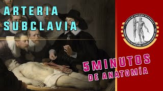 Anatomia Cardiovascular  Artérias  Aula Prática [upl. by Newbill21]