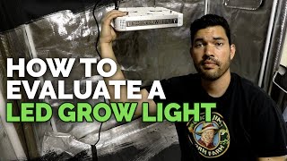 3 Things You MUST Know Before Buying an LED Grow Light 🌱💡 [upl. by Josephine]