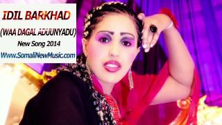 IDIL BARKHAD WAA DAGAL ADUUNYADU New Song 2014 new video every week [upl. by Giralda860]