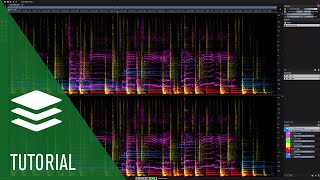 Unmix  Spectralayers Pro 7 Tutorials [upl. by Leith]