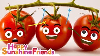 Potato Tomato Song  Educational Video for parents and teachers [upl. by Truman991]