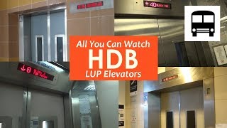 🚪🔔 All You Can Watch Singapore Modern HDB Elevators 🔔🚪 Doors Closing and Opening 🚪 [upl. by Lehte]