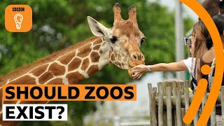 Should zoos exist  BBC Ideas [upl. by Shreeves]