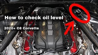 How to Check Oil Level on a Mercedes Benz  No Oil Dipstick on Mercedes [upl. by Nirhtak777]