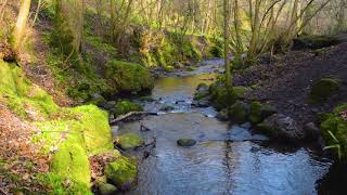 Nature Sound Effects  Water Stream in the River SFX Audio Background [upl. by Samuele]