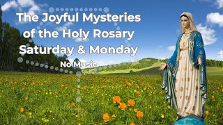 Virtual Rosary Saturday  Joyful Mysteries  Rosary Saturday  Follow Along Rosary  No Music [upl. by Nojid741]