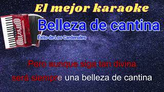 Belleza de cantina Karaoke [upl. by Modnar]