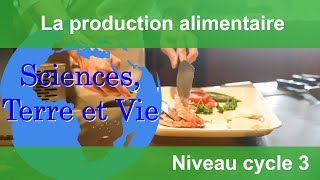 La production alimentaire [upl. by Uriiah920]