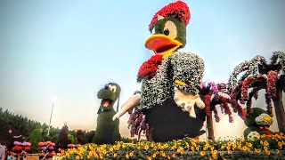 Dubai Miracle Garden 2020 Day Tour [upl. by Nolad]