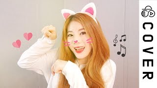 學貓叫 Say Meow Meow┃Cover by Raon Lee [upl. by Ainslie]