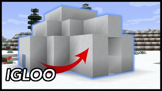 What Is Inside An Igloo In Minecraft [upl. by Najib]