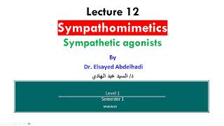 Lecture 12 Sympathetic Agonists  Dr Elsayed Abdelhad i 2023  2024 [upl. by Janel214]