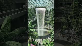 Rainforest Inside Jewel Changi Airport shorts [upl. by Acina]