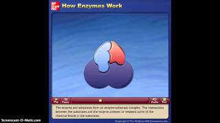 How Enzymes Work Animation [upl. by Stoughton]