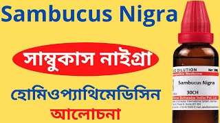 Sambucus Nigra Homeopathic Medicine Explain Sambucus Q Sambucus 30 Sambucus 200 সাম্বুকাস নাইগ্ৰা [upl. by Neelhtakyram]