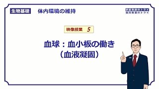 【生物基礎】 体内環境の維持5 血球：血小板の働き（血液凝固） （１６分） [upl. by Adroj315]