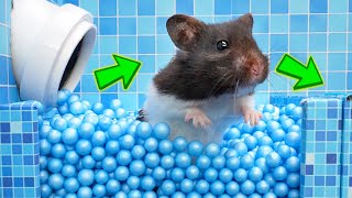 🐹Hamster Prison Escape Epic Boss Battle [upl. by Lev]