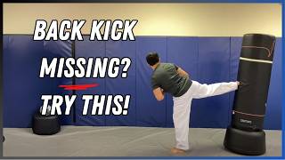 How To Recover A Missed Back Kick  Taekwondo for MMA [upl. by Akinimod158]