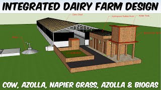 Integrated Dairy Farming Model Design  Cow Azolla Napier Hydroponic Fodder Farm amp Biogas Design [upl. by Yelhs649]