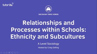 Relationships amp Processes within Schools  Ethnicity amp Subcultures  A Level Sociology [upl. by Lerner59]