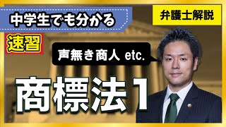 【商標法】商標とは「声無き商人」である！｜商標とは何か、商標法の目的、機能、種類、商標の使用【18】 [upl. by Rodablas20]