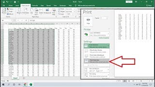 How to Print Only Specific Area Cell or Rows in MS Excel [upl. by Dammahum252]