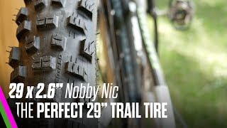 29 x 26 Schwalbe Nobby Nic REVIEW  THE PERFECT 29quot TRAIL TIRE  Plus goes minus [upl. by Idid]