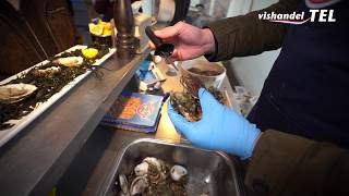 Vishandel Tel Openen van een oester [upl. by Ppik118]