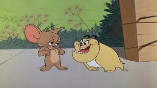 Tom amp Jerry Classic Cartoon The Cats Me Ouch [upl. by Anirbed]