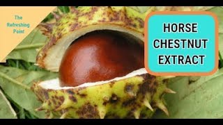 Horse Chestnut Extract Benefits for Men  Improves Vein Health and Reduces Inflammation [upl. by Dedric]