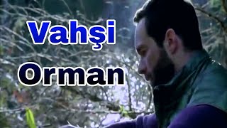 Vahşi Orman  Türkce Dublyaj Film HD KORKULU FİLM [upl. by Wendie]