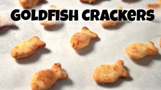 DIY GOLDFISH Crackers Recipe  You Made What [upl. by Asseram]