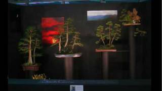 Alternative Bonsai Display Part 1 [upl. by Jefferson]