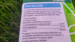 Zoysia Lawns How to kill Bermuda [upl. by Delaney]