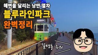 부산 여행 필수 코스 블루라인파크 해변열차와 스카이캡슐 비교 및 꿀팁 그리고 추천코스 까지 알려드릴게요 [upl. by Loresz]