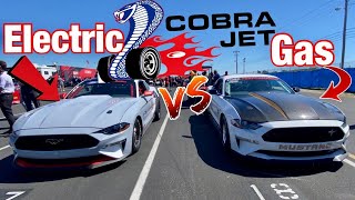 Gas vs Electric COBRA JET MUSTANG DRAG RACE SURPRISE WINNER [upl. by Mchugh]