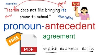 Pronoun Antecedent Agreement in English Grammar [upl. by Ragan]