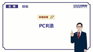 【高校生物】 遺伝17 PCR法（２０分） [upl. by Libby]