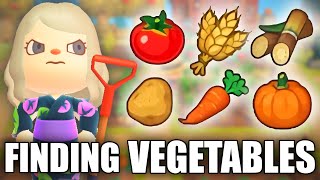 HOW TO FIND All Vegetables and Crops in Animal Crossing New Horizons [upl. by Kcorb]