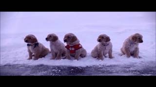 Snow Buddies 2008  Trailer [upl. by Galan]